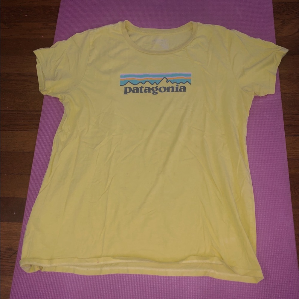 Patagonia shirt